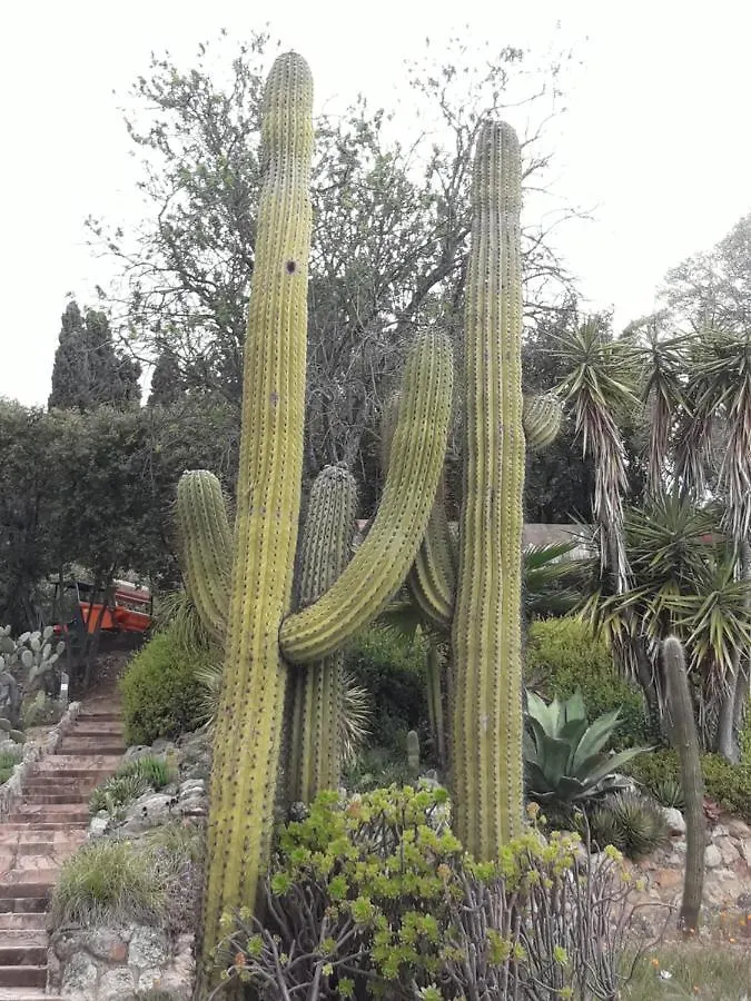 La Villa Del Paraiso Vidreres